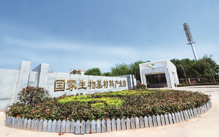 河南降塑“起东风”打造全国最大降解塑料产业集群开云kaiyun(图5)