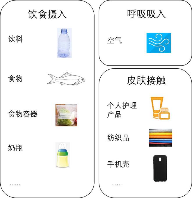 微塑料无处不在但无需过度焦虑(图3)