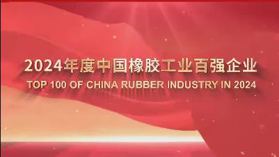 开云网站2024中国橡胶年会盛大启幕行业大咖齐聚透露重大信息(附榜单)(图4)