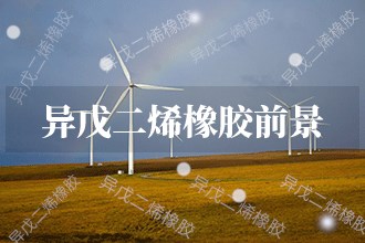 2024年异戊二烯橡胶发展前景异戊二烯橡胶市场前景预测(图1)