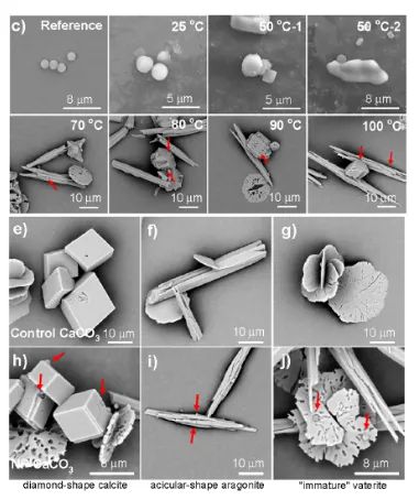 厨房常用的清洁海绵1克就能释放650万个微塑料！减少摄入记住5点(图6)