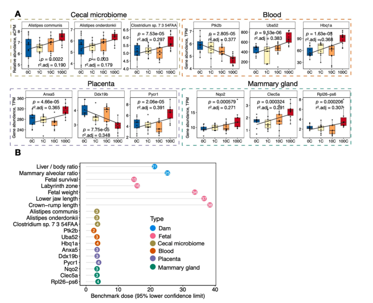 用一次性纸杯喝热水会摄入大量微塑料?来看浙大科学家的研究(图5)