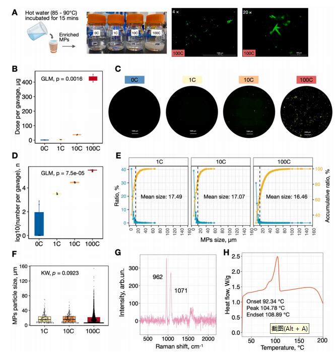 用一次性纸杯喝热水会摄入大量微塑料?来看浙大科学家的研究(图2)