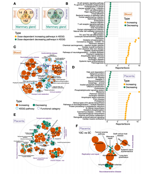 用一次性纸杯喝热水会摄入大量微塑料?来看浙大科学家的研究(图4)