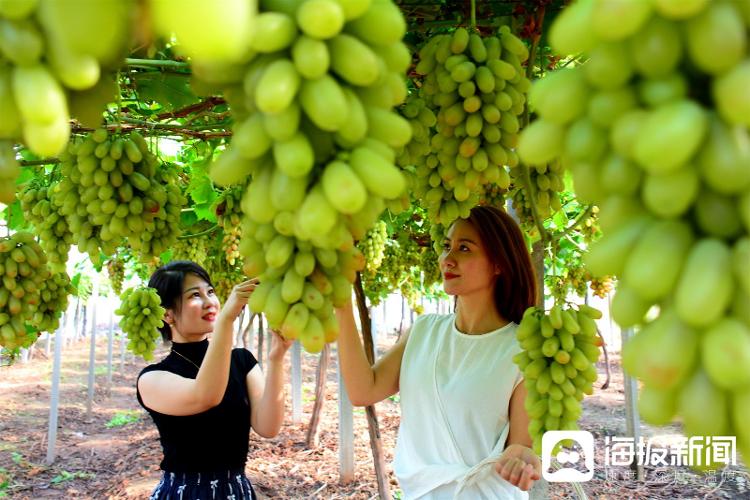 视觉山东一周图选（2024年第36期）(图8)