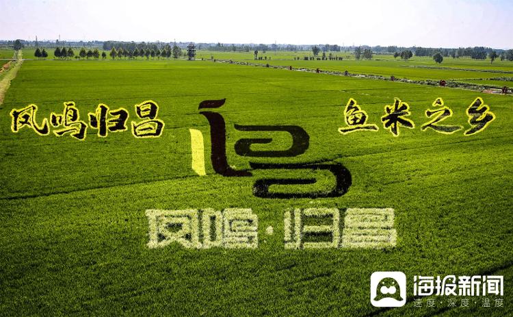 视觉山东一周图选（2024年第36期）(图9)