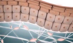 前瞻产业研究院(图2)