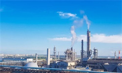 前瞻产业研究院(图17)