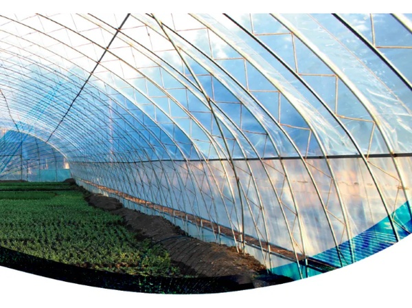 2024中国国际塑料展利安隆圆满收官并获两项殊荣(图3)