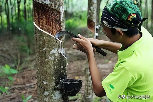 赛轮轮胎:产能和橡胶的故事(图19)