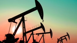 广东省2024上半年塑料制品产量62522万吨占全国的的1727%(图5)