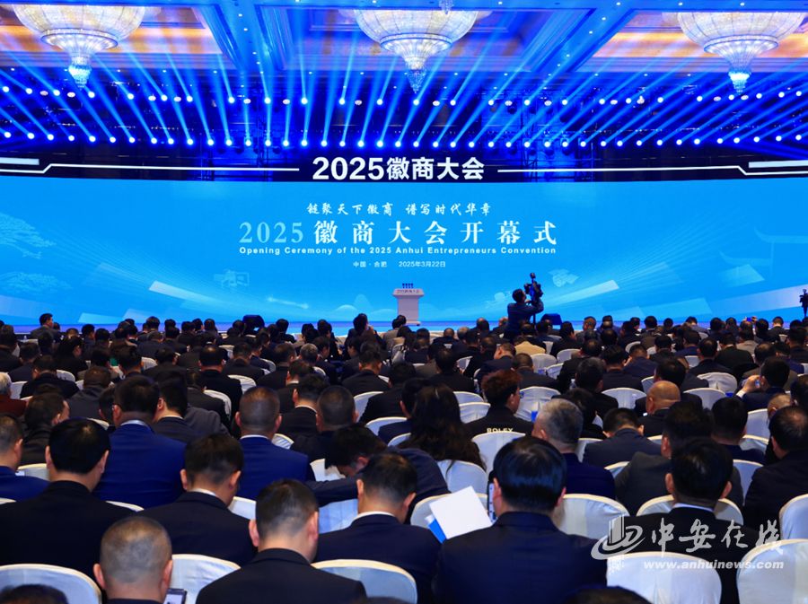 中安观察从“跟跑”到“领跑”安徽汽车产量何以全国登顶？(图4)