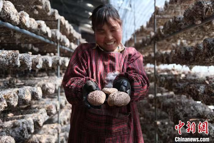 碳路中国｜中国乡村探索低碳发展路径构建可持续未来(图1)