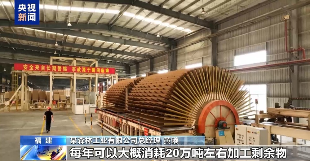 从牙刷到交通护栏“以竹代塑”让竹子可以这么玩(图5)