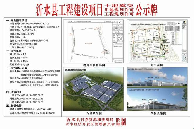 36亿轮胎项目落地临沂沂水即将开工建设(图2)