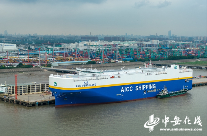 “链”上安徽：一辆车与一条产业链的共生密码(图1)