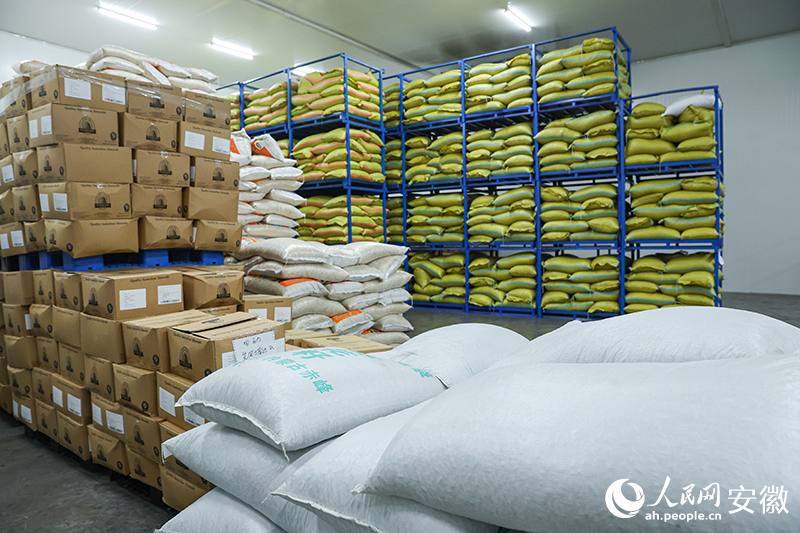 安徽向前丨无为坚果大有可为(图3)