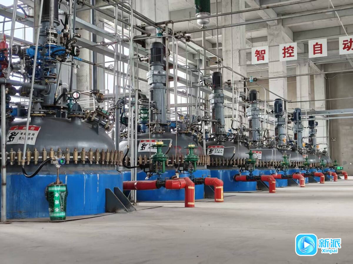 潍坊临朐：“新材料”为高质量发展添底气(图3)