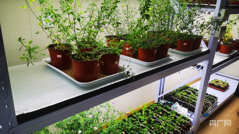 【竞速强省会16】榆中：产业与创新加速“互链”(图3)