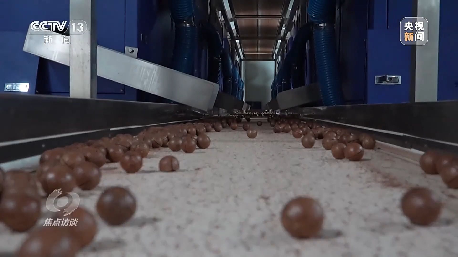 从“闯关”到“领跑”海南封关满月有哪些变化(图6)