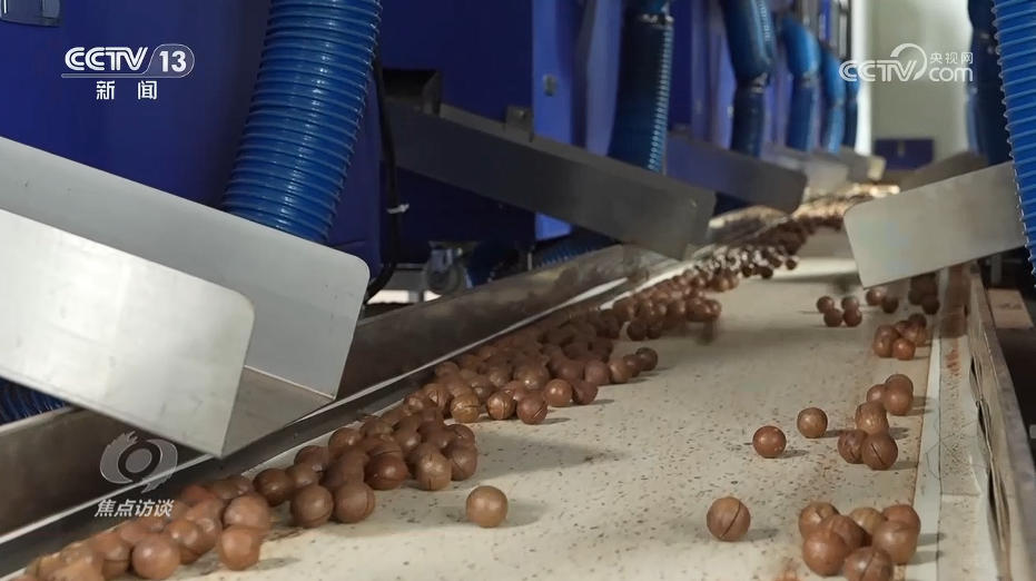 焦点访谈｜海南自贸港全岛封关“满月”新篇章这样书写(图4)